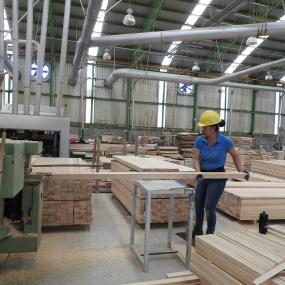 mujer trabajando empresa madera